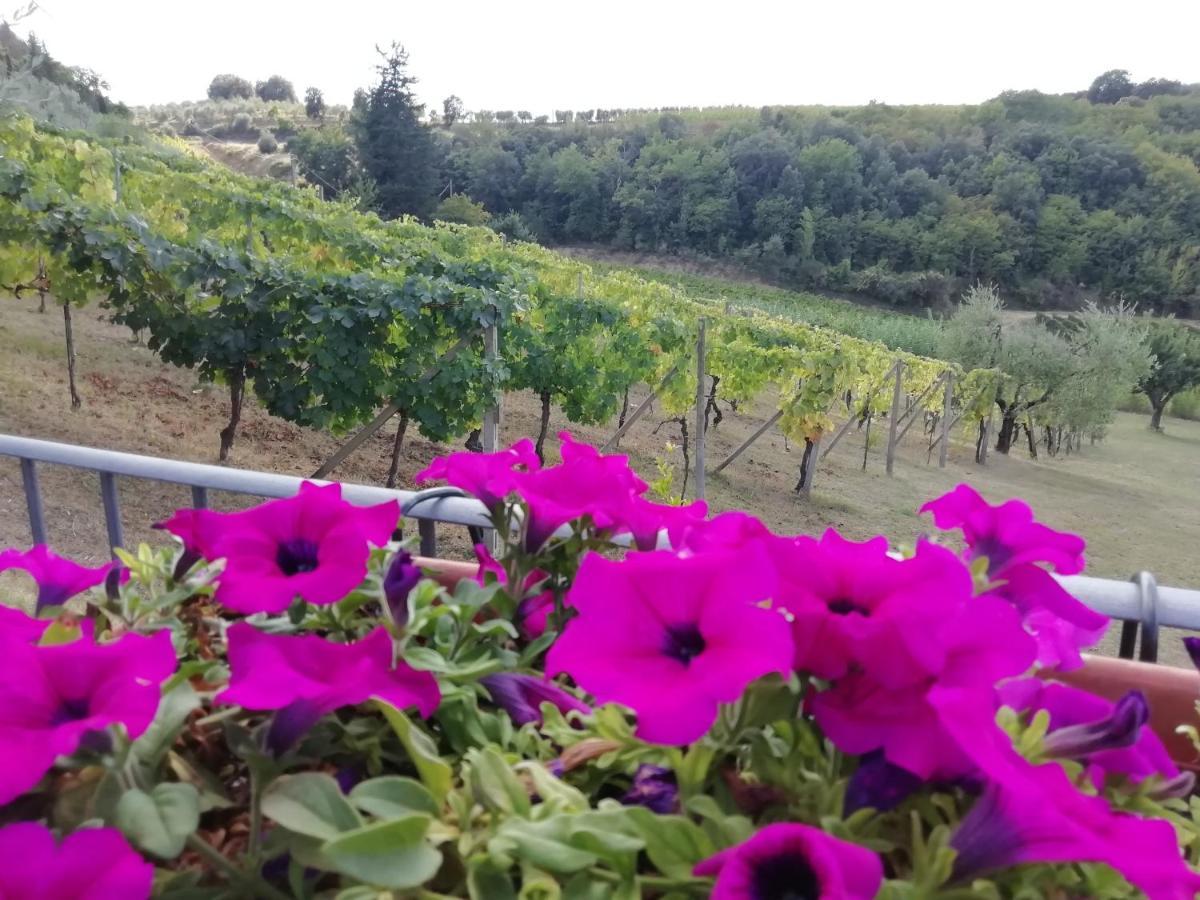 Poggio Massiccioli Lägenhet Poggibonsi Exteriör bild